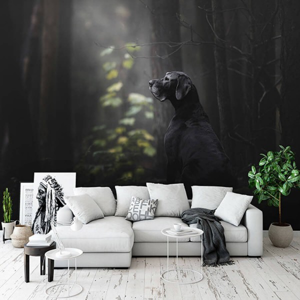 Kutya az erdőben, poszter (többféle méretben) 13133