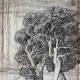 Falhatású poszter fával (többféle méretben) 13685