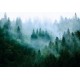 Fali poszter erdő (többféle méretben) 13757VE