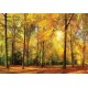 Őszi erdő poszter (többféle méretben) 13460 