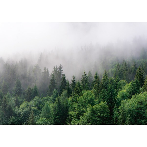 Ködös erdő posztertapéta (több méretben) 13907