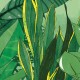 Élénk zöld trópusi levélmintás poszter (több méretben) 14119