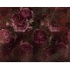 Bordó rózsák fali poszter (350x280 cm) HK467