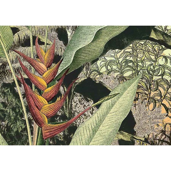 Dzsungel fali poszter (350x280 cm) HK507