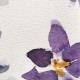 Colorful üde virágos tapéta, nagy mintával INK7281 (vlies, 200 x 280 cm)