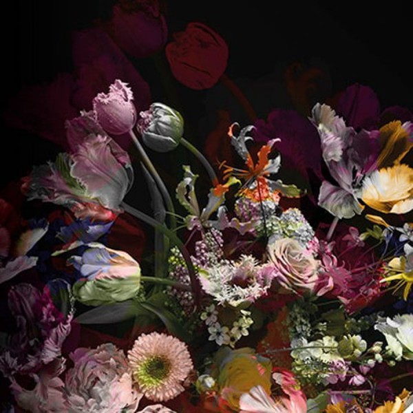 Colorful sötét színű design tapéta nagy virágokkal (vlies, 200 x 280 cm)