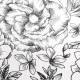 Olinda nagy virágos design tapéta, fekete-fehér 103060913