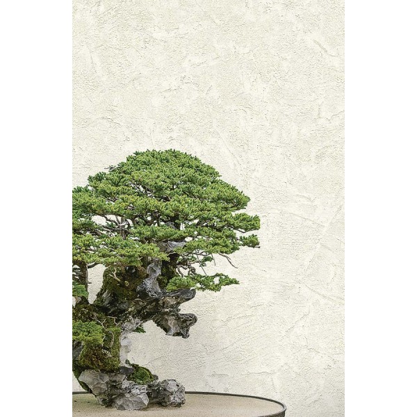 Zen taupe árnyalatú beton mintás egyszínű vinyl tapéta (106 cm széles) 72973