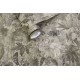 Cascading Gardens szürke barna beton hatású tapéta virágokkal és madárral 91452