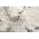 Patagonia bézs festett hatású tapéta daru madarakkal 36102