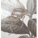 Flora fakó szürkésbarna trópusi tapéta állatokkal 18501